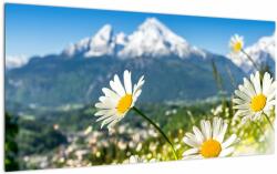 Mivali Tablou pe sticlă - Primăvara în Alpi, dintr-o bucată 100x50 cm pe sticlă (V023214V10050GD)