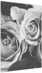 Mivali Tablou - Trandafir, alb-negru, dintr-o bucată 50x70 cm (V024126V5070)