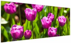 Mivali Tablou cu lale pe luncă, dintr-o bucată 250x125 cm (V020893V250125)