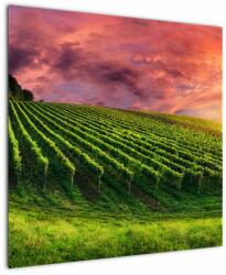 Mivali Tablou cu vie cu cerul color, dintr-o bucată 70x70 cm (V020336V7070)