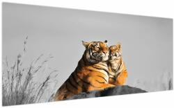 Mivali Tablou - Tigroaica cu pui, versiunea alb-negru, dintr-o bucată 200x100 cm (V023668V200100)