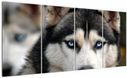 Mivali Tablou cu câinele husky, din patru bucăți 160x80 cm (V020526V16080)