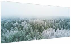 Mivali Tablou - Crestele munțillor înzăpezite, dintr-o bucată 200x100 cm (V022454V200100)