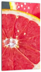 Mivali Tablou cu grapefruit tăiat, dintr-o bucată 20x30 cm (V021227V2030)