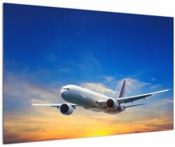 Mivali Tablou cu avion, dintr-o bucată 90x60 cm (V022268V9060)