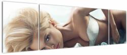 Mivali Tablou - Boudoir, din trei bucăți 170x50 cm (V023387V17050)