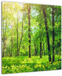 Mivali Tablou - Pădurea cu frunze de primăvară, dintr-o bucată 50x50 cm (V022101V5050)