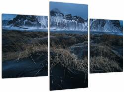 Mivali Tablou cu priveliște spre vărfurile Islanda, din trei bucăți 90x60 cm (V021692V90603PCS)