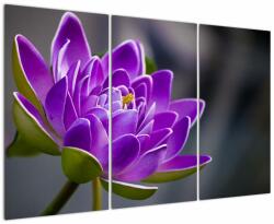 Mivali Tablou floarei, din trei bucăți 120x80 cm (V022204V120803PCS)