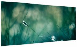 Mivali Tablou - Detaliu iarbă, dintr-o bucată 100x40 cm (V024001V10040)