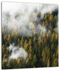 Mivali Tablou pe sticlă - Pădure în nori, dintr-o bucată 30x30 cm pe sticlă (V022666V3030GD)