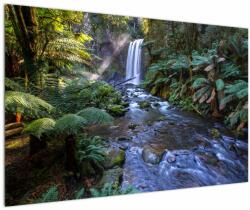Mivali Tablou cu pădurea ploilor din Austalia, dintr-o bucată 120x80 cm (V021687V12080)