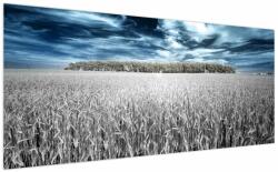 Mivali Tablou cu câmp, dintr-o bucată 200x100 cm (V022278V200100)