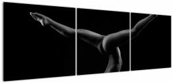 Mivali Tablou - Gimnasta nud în întuneric, din trei bucăți 150x50 cm (V023080V15050)