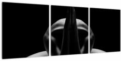 Mivali Tablou cu nud feminin, din trei bucăți 90x30 cm (V020804V9030)