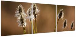 Mivali Tablou - Iarbă, din trei bucăți 120x40 cm (V023885V12040)
