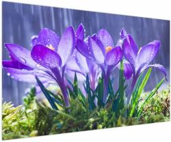 Mivali Tablou cuflori în ploaie, dintr-o bucată 150x100 cm (V020707V150100)