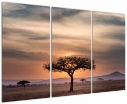 Mivali Tablou apusului de soare în Tanzania, din trei bucăți 120x80 cm (V021578V120803PCS)