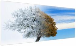 Mivali Tablou - Schimbarea anotimpurilor, dintr-o bucată 250x125 cm (V023329V250125)