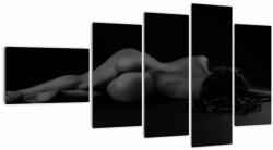 Mivali Tablou - Femeia întinsă nud, din cinci bucăți 110x60 cm (V022896V11060)