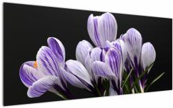 Mivali Tablou - Crocus violet, dintr-o bucată 120x50 cm (V022589V12050)