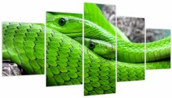 Mivali Tablou cu șerpi verzi (cu ceas), din cinci bucăți 150x80 cm cu ceas (V020689V15080C)