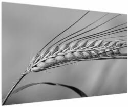 Mivali Tablou - Grâu, alb-negru, dintr-o bucată 120x80 cm (V024120V12080)