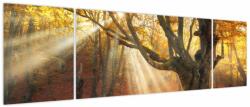 Mivali Tablou - Lumina de toamnă, din trei bucăți 170x50 cm (V023856V17050)