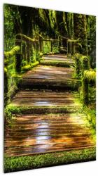 Mivali Tablou cu scări într-o pădure tropicală, dintr-o bucată 60x90 cm (V020941V6090)