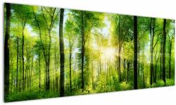 Mivali Tablou - Răsărit în pădure, dintr-o bucată 145x58 cm (V022345V14558)