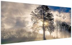 Mivali Tablou cu copac în ceață, dintr-o bucată 200x100 cm (V020378V200100)