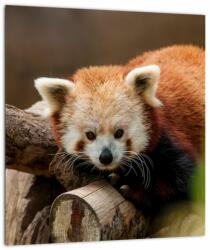 Mivali Tablou cu panda roșie, dintr-o bucată 30x30 cm (V020184V3030)