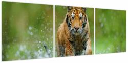 Mivali Tablou - Tigru care aleargă, din trei bucăți 120x40 cm (V023886V12040)
