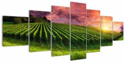 Mivali Tablou cu vie cu cerul color, din șapte bucăți 210x100 cm (V020336V210100)