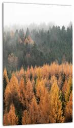 Mivali Tablou - Pădure toamna, dintr-o bucată 20x30 cm (V022938V2030)