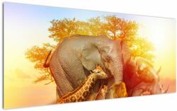 Mivali Tablou - Animale africane, dintr-o bucată 120x50 cm (V023027V12050)
