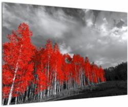 Mivali Tablou - Copaci în culorile toamnei, dintr-o bucată 90x60 cm (V022052V9060)