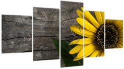 Mivali Tablou - Floare de floarea soarelui (cu ceas), din cinci bucăți 150x80 cm cu ceas (V022113V15080C)