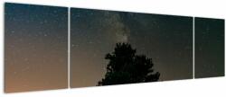 Mivali Tablou cu cerul nocturn și copaci, din trei bucăți 170x50 cm (V020879V17050)