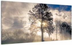 Mivali Tablou pe sticlă cu copac în ceață, dintr-o bucată 100x50 cm pe sticlă (V020378V10050GD)
