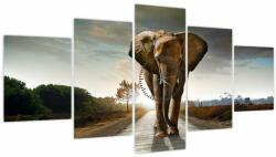 Mivali Tablou cu elefant (cu ceas), din cinci bucăți 150x80 cm cu ceas (V022219V15080C)
