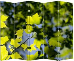 Mivali Paravan - Frunze de arțar, din 5 bucăți, 210x170 cm (P020233P225180)