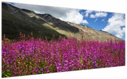 Mivali Tablou sceneriei cu lunca montană, dintr-o bucată 200x100 cm (V021604V200100)