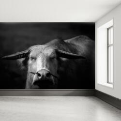 Mivali Fototapet - Vacă, vlies, 147x102 cm (T100984TQ3)