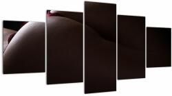 Mivali Tablou - Fundal feminin, din cinci bucăți 150x80 cm (V022859V150805PCS)