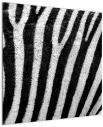 Mivali Tablou cu piele de zebră, dintr-o bucată 70x70 cm (V021235V7070)
