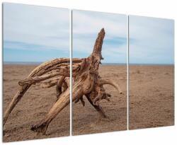 Mivali Tablou - Inundație de mare, din trei bucăți 120x80 cm (V021662V120803PCS)
