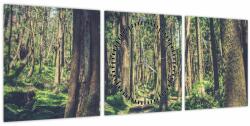 Mivali Tablou cu drum între copaci (cu ceas), din trei bucăți 90x30 cm cu ceas (V021217V9030C)