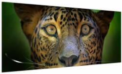 Mivali Tablou - Portretul leoparduslui, Sri Lanka (V021762V10040)