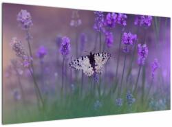 Mivali Tablou - fluture în lavandă, dintr-o bucată 120x70 cm (V021452V12070)